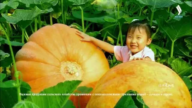 Здесь Шаньдун!